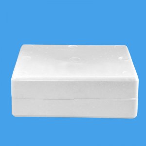 食品水果乐动平台网站登录入口-乐动(中国)包装箱